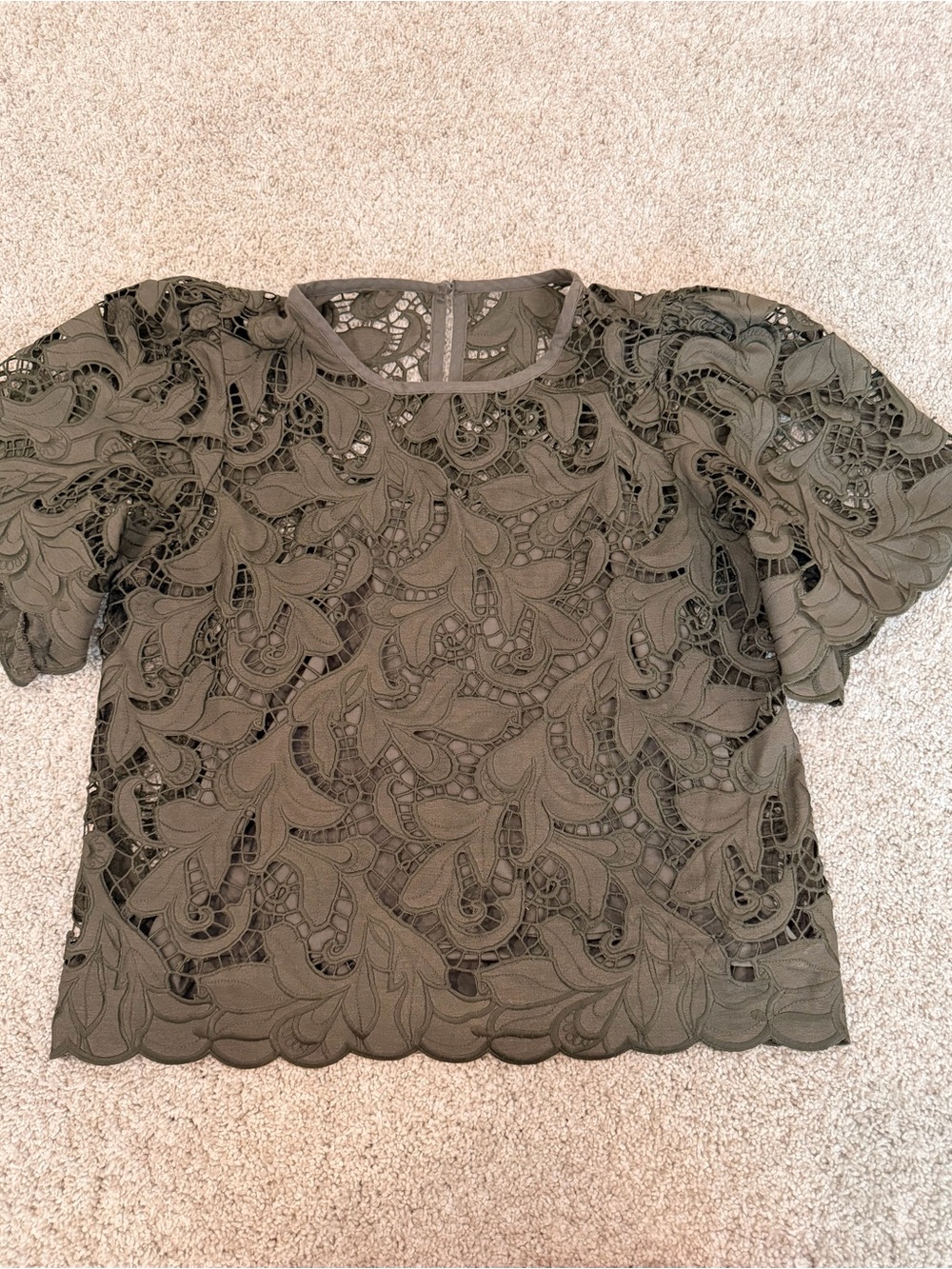 Express Olive Lace Short Sleeve Overlay Top